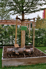 Landesgartenschau